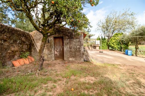 Helårsgrund i Barcelos, Braga, Barcelos - € 215.000 | Ref: 254240341 - foto 16