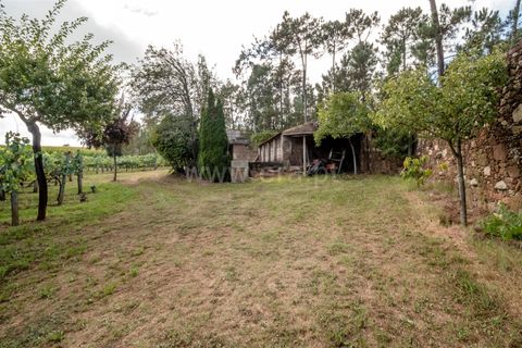 Helårsgrund i Barcelos, Braga, Barcelos - € 215.000 | Ref: 254240341 - foto 18