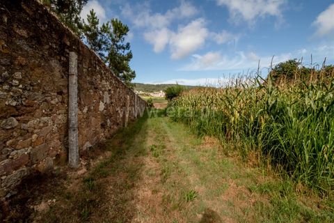 Helårsgrund i Barcelos, Braga, Barcelos - € 215.000 | Ref: 254240341 - foto 19
