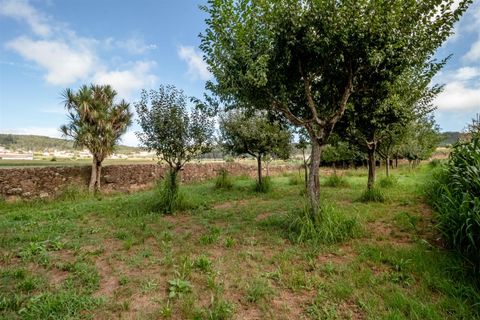 Helårsgrund i Barcelos, Braga, Barcelos - € 215.000 | Ref: 254240341 - foto 20