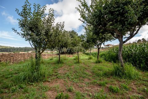 Helårsgrund i Barcelos, Braga, Barcelos - € 215.000 | Ref: 254240341 - foto 21
