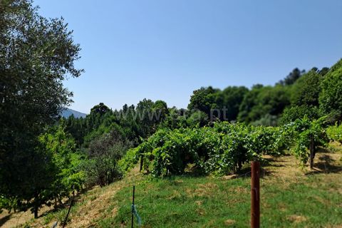 Landejendom i Covilha, Castelo Branco, Covilha - € 70.000 | Ref: 394250067 - foto 3