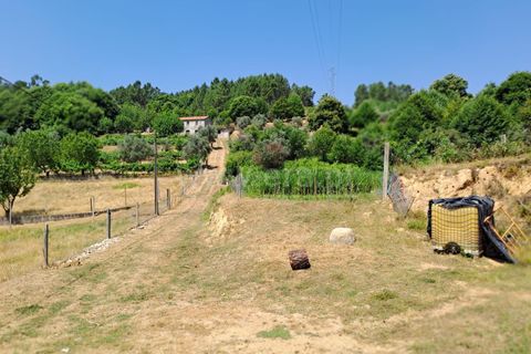 Landejendom i Covilha, Castelo Branco, Covilha - € 70.000 | Ref: 394250067 - foto 4