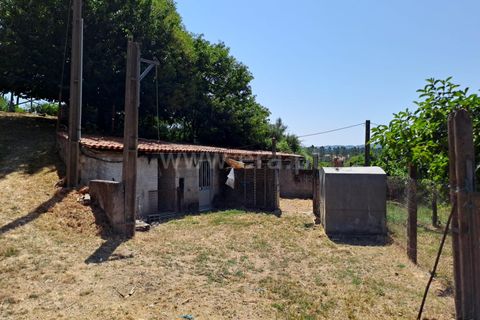 Landejendom i Covilha, Castelo Branco, Covilha - € 70.000 | Ref: 394250067 - foto 5