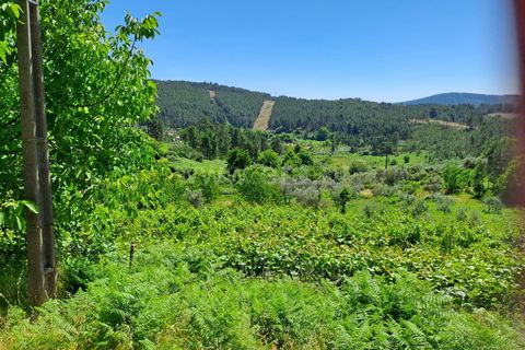 Landejendom i Covilha, Castelo Branco, Covilha - € 70.000 | Ref: 394250067 - foto 7