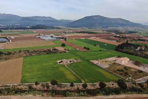 Terra a Sa Pobla, Mallorca, Sa Pobla - € 160.000 | Ref: 734830 - foto 9