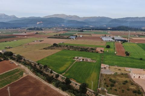 Terra a Sa Pobla, Mallorca, Sa Pobla - € 160.000 | Ref: 734830 - foto 10