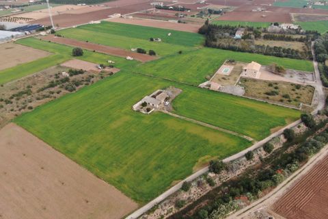 Terra a Sa Pobla, Mallorca, Sa Pobla - € 160.000 | Ref: 734830 - foto 12