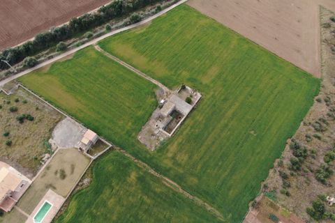 Terra a Sa Pobla, Mallorca, Sa Pobla - € 160.000 | Ref: 734830 - foto 14