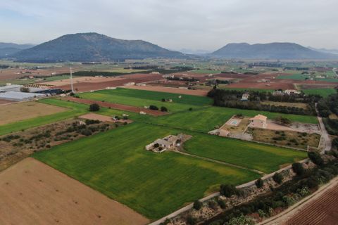 Terra a Sa Pobla, Mallorca, Sa Pobla - € 160.000 | Ref: 734830 - foto 11