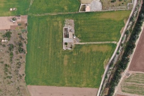 Terra a Sa Pobla, Mallorca, Sa Pobla - € 160.000 | Ref: 734830 - foto 15