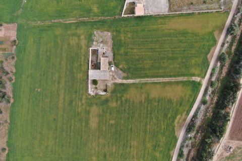 Terra a Sa Pobla, Mallorca, Sa Pobla - € 160.000 | Ref: 734830 - foto 6