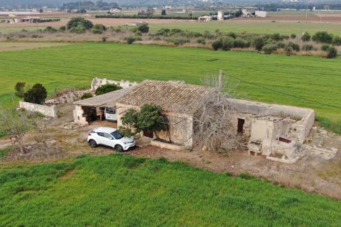Terra a Sa Pobla, Mallorca, Sa Pobla - € 160.000 | Ref: 734830 - foto 13