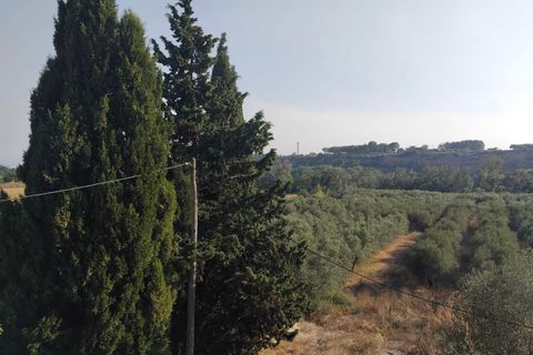 Finca i Mora La Nova, Tarragona, Mora La Nova - € 70.000 | Ref: Su - foto 19