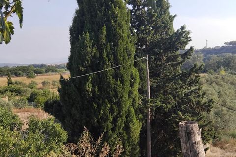 Finca i Mora La Nova, Tarragona, Mora La Nova - € 70.000 | Ref: Su - foto 16