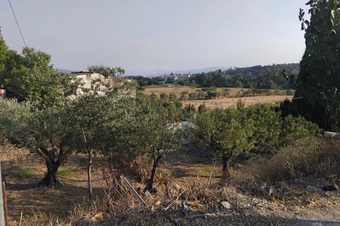 Finca i Mora La Nova, Tarragona, Mora La Nova - € 70.000 | Ref: Su - foto 17