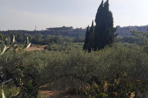 Finca i Mora La Nova, Tarragona, Mora La Nova - € 70.000 | Ref: Su - foto 14