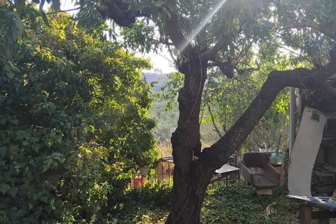 Finca i Mora La Nova, Tarragona, Mora La Nova - € 70.000 | Ref: Su - foto 7