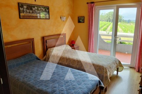 Villa i Viana do Castelo, Viana do Castelo, Viana do Castelo - € 372.000 | Ref: 1350204/25VC - foto 15