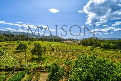 Farm i Ponte de Lima, Viana do Castelo, Ponte de Lima - € 1.800.000 | Ref: MP-EF-Q-242 - foto 10