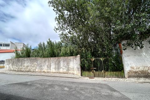 Tomt i Azambuja, Lisbon, Azambuja - € 100 000 | Ref: C0483-00815 - foto 6