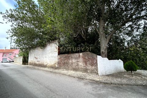 Tomt i Azambuja, Lisbon, Azambuja - € 100 000 | Ref: C0483-00815 - foto 7