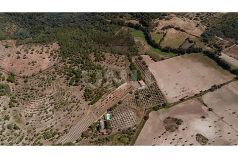 Landejendom i Castelo Branco, Castelo Branco, Castelo Branco - € 850.000 | Ref: UNU.I.1951.12555 - foto 5