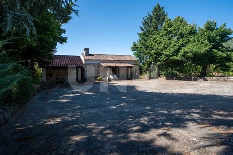 Landejendom i Castelo Branco, Castelo Branco, Castelo Branco - € 850.000 | Ref: UNU.I.1951.12555 - foto 7