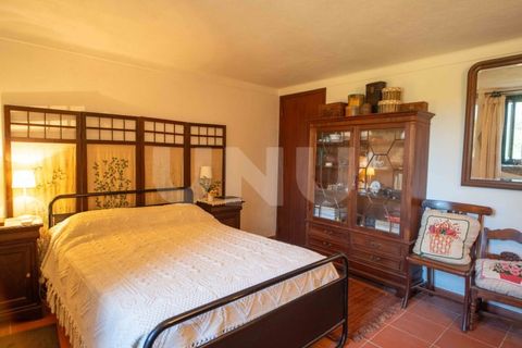 Landejendom i Castelo Branco, Castelo Branco, Castelo Branco - € 850.000 | Ref: UNU.I.1951.12555 - foto 18