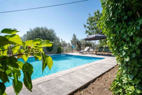 Landejendom i Castelo Branco, Castelo Branco, Castelo Branco - € 850.000 | Ref: UNU.I.1951.12555 - foto 26