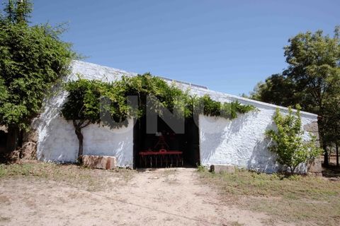 Landejendom i Castelo Branco, Castelo Branco, Castelo Branco - € 850.000 | Ref: UNU.I.1951.12555 - foto 27