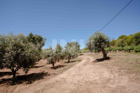 Landejendom i Castelo Branco, Castelo Branco, Castelo Branco - € 850.000 | Ref: UNU.I.1951.12555 - foto 31