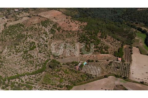 Landejendom i Castelo Branco, Castelo Branco, Castelo Branco - € 850.000 | Ref: UNU.I.1951.12555 - foto 32
