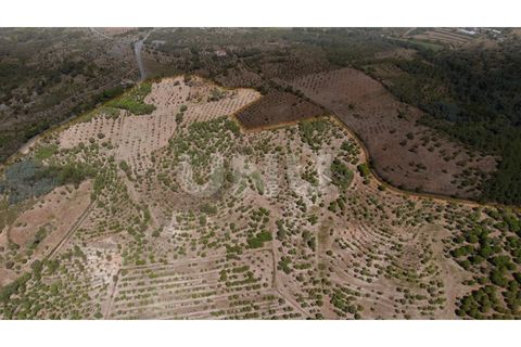 Landejendom i Castelo Branco, Castelo Branco, Castelo Branco - € 850.000 | Ref: UNU.I.1951.12555 - foto 36