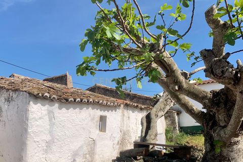 Villa a Monforte, Portalegre, Monforte - € 22.000 | Ref: C0431-00285 - foto 8