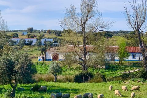 Villa a Monforte, Portalegre, Monforte - € 22.000 | Ref: C0431-00285 - foto 18