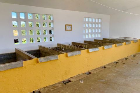 Villa a Monforte, Portalegre, Monforte - € 22.000 | Ref: C0431-00285 - foto 15