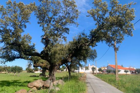 Villa a Monforte, Portalegre, Monforte - € 22.000 | Ref: C0431-00285 - foto 19