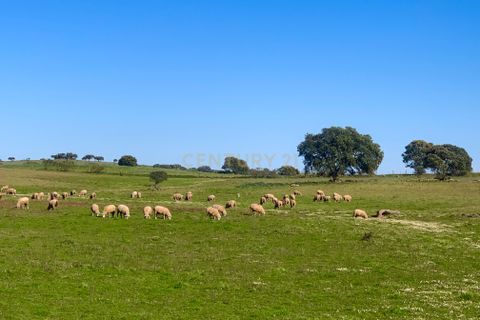 Villa a Monforte, Portalegre, Monforte - € 22.000 | Ref: C0431-00285 - foto 21