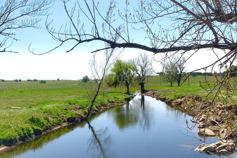 Villa a Monforte, Portalegre, Monforte - € 22.000 | Ref: C0431-00285 - foto 25