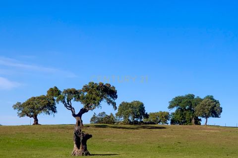 Villa a Monforte, Portalegre, Monforte - € 22.000 | Ref: C0431-00285 - foto 23