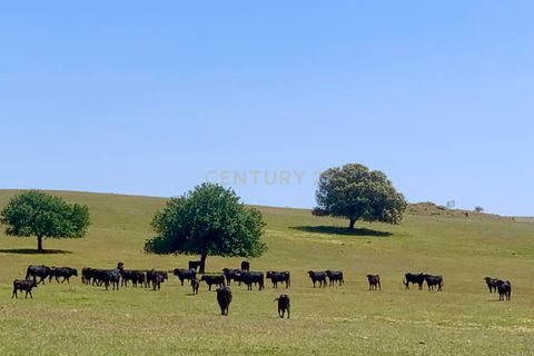 Villa a Monforte, Portalegre, Monforte - € 22.000 | Ref: C0431-00285 - foto 24