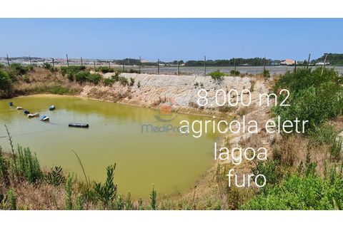 Helårsgrund i A dos Cunhados e Maceira, Lisbon, A dos Cunhados e Maceira - € 60.000 | Ref: MTL3257 - foto 1