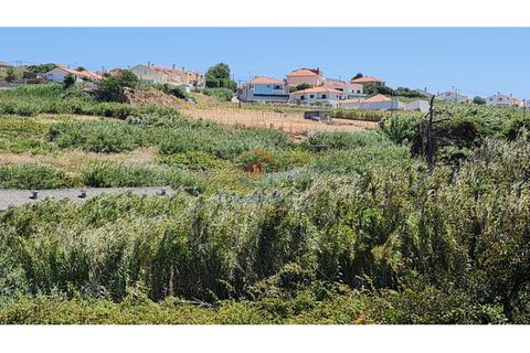 Helårsgrund i A dos Cunhados e Maceira, Lisbon, A dos Cunhados e Maceira - € 94.450 | Ref: MTL3255 - foto 7