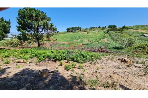 Helårsgrund i A dos Cunhados e Maceira, Lisbon, A dos Cunhados e Maceira - € 94.450 | Ref: MTL3255 - foto 8