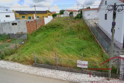 Helårsgrund i Cadaval, Lisbon, Cadaval - € 90.000 | Ref: 033-2025 - foto 11