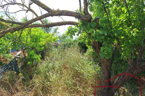 Helårsgrund i Cadaval, Lisbon, Cadaval - € 60.000 | Ref: 034-2025 - foto 6