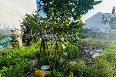 Helårsgrund i Camarate, Lisbon, Camarate - € 60.000 | Ref: ST95392EP - foto 18