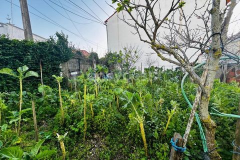 Helårsgrund i Camarate, Lisbon, Camarate - € 60.000 | Ref: ST95392EP - foto 21