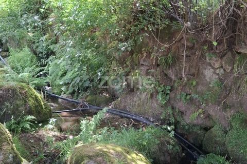 Villa i Seia, Guarda, Seia - € 240.000 | Ref: ZMPT578567 - foto 24